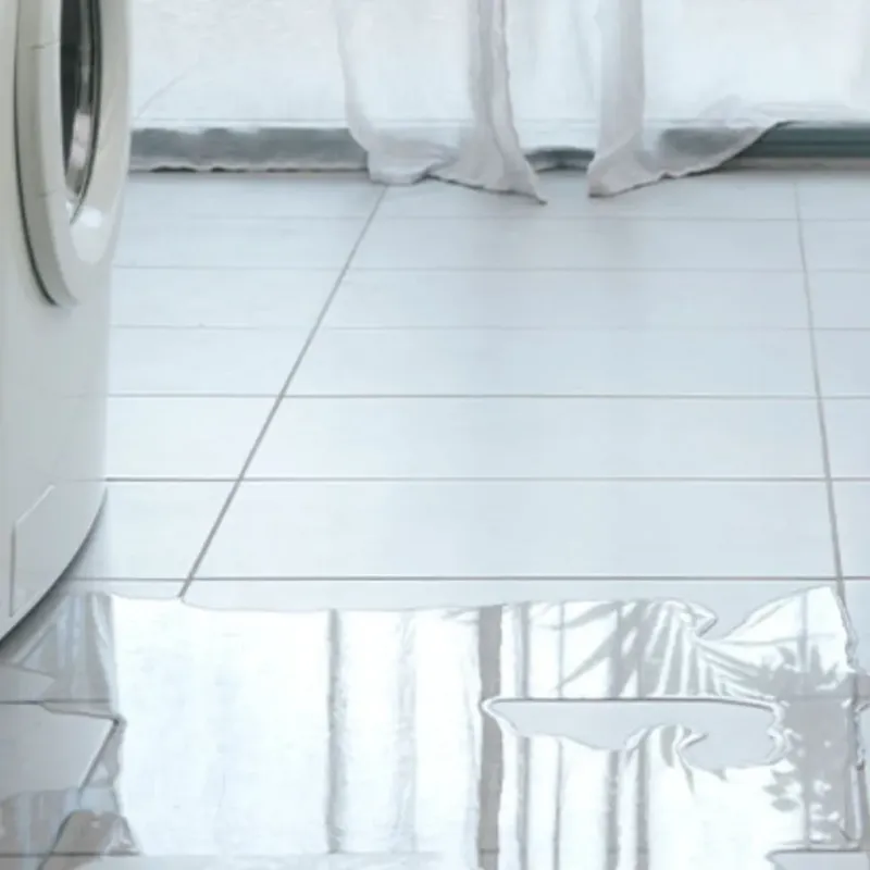 Appliance Leak Cleanup in Newnan, GA